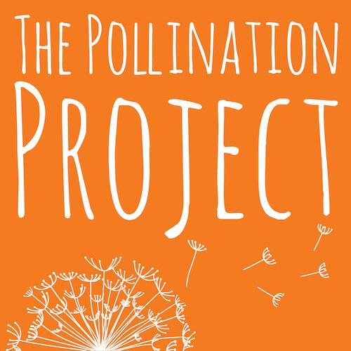 Logo of The Pollination Project