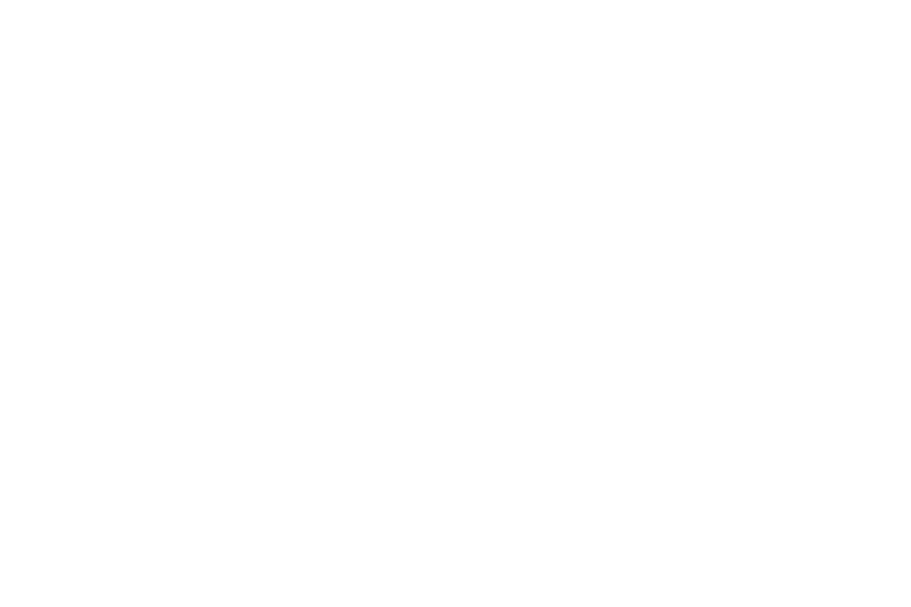 WE ARE CAPACITY BUILDERS