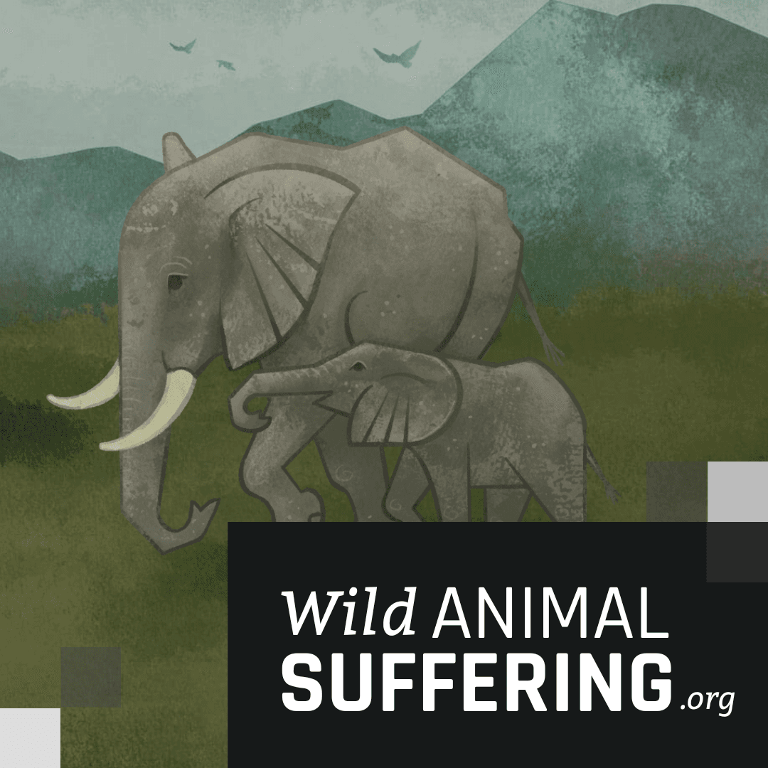 https://wildanimalsuffering.org/