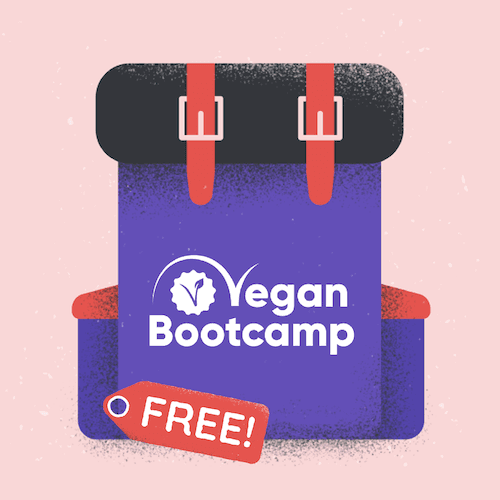 Vegan Bootcamp